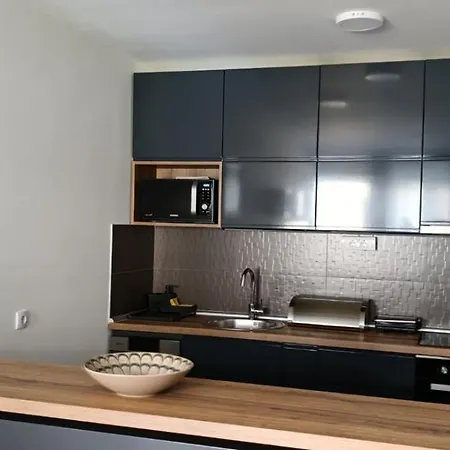 Lejlighed Seka Vrnjačka Banja